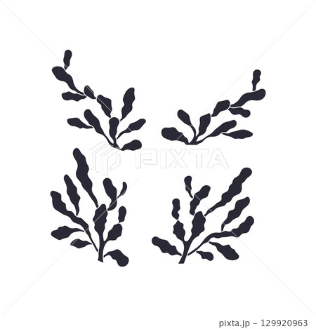 Monochrome black silhouette seaweed hand drawn vector illustration set 129920963