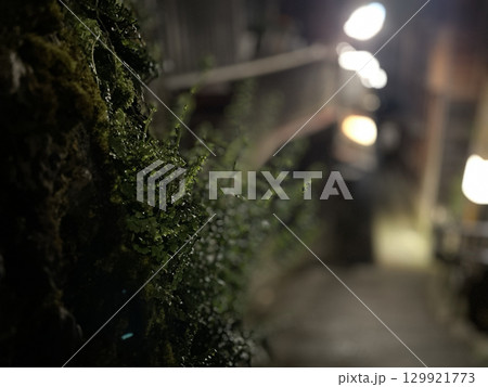 あかり坂をぼかして撮影 あかり坂をぼかして撮影 129921773