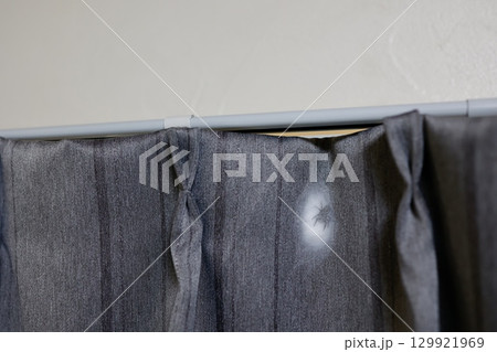 カーテンに袋状の巣を作るハエトリグモの写真 カーテンに袋状の巣を作るハエトリグモの写真 129921969