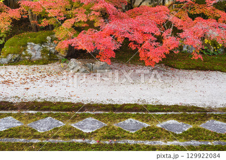 南禅寺の塔頭 秋の紅葉が美しい天授庵(京都府京都市東山区) 南禅寺の塔頭 秋の紅葉が美しい天授庵(京都府京都市東山区) 129922084