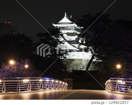 木々の隙間に浮かぶ白の城―鴎外橋の夜景Ⅱ 129922857