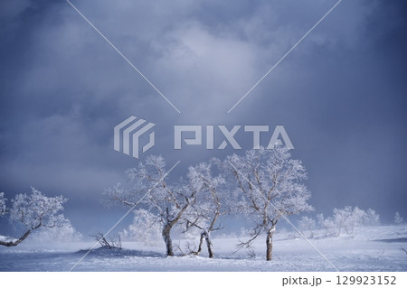 ウィンターシーズンのキロロスノーワールドの朝里エリア山頂付近からの眺め ウィンターシーズンのキロロスノーワールドの朝里エリア山頂付近からの眺め 129923152