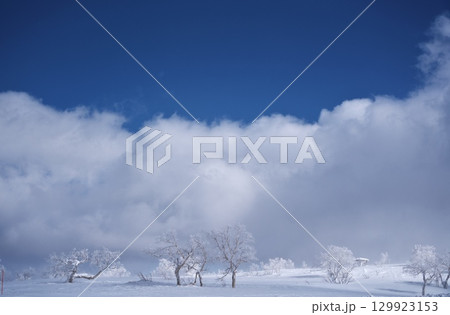 ウィンターシーズンのキロロスノーワールドの朝里エリア山頂付近からの眺め 129923153