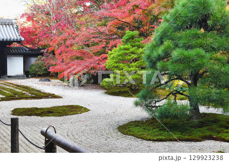 南禅寺の塔頭　秋の紅葉が美しい天授庵（京都府京都市東山区） 129923238