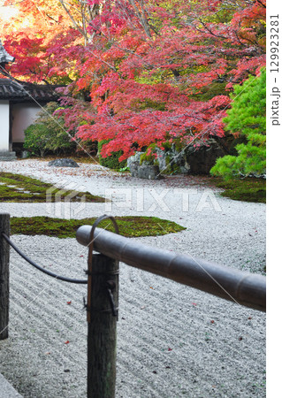 南禅寺の塔頭　秋の紅葉が美しい天授庵（京都府京都市東山区） 129923281