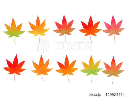 秋　カラフルなカエデのイラスト 129923284