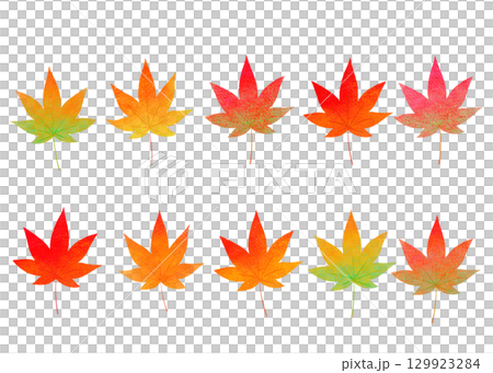 秋季彩色楓葉插畫 秋季彩色楓葉插畫 129923284
