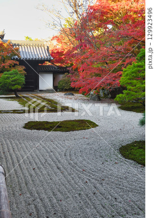 南禅寺の塔頭　秋の紅葉が美しい天授庵（京都府京都市左京区） 129923496