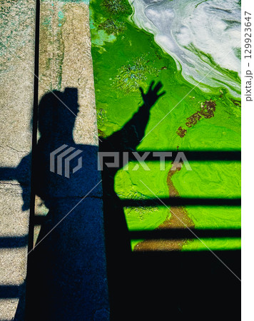The shadow of a reaching hand contrasts with a green algae bloom. A striking silhouette of a person's hand and arm is cast across a vibrant green algae bloom, a contrast of light and shadow. Ecology. 129923647