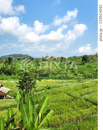 バリ島ティルタガンガから見える青空と緑の田園風景 129924092