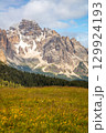 Blooming Meadow and Snow-Capped Mountain Peaks 129924193