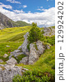 Pine Tree on a Rock in a Summer Alpine Valley 129924202