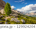 Large Boulders on a Green Mountain Slope 129924204