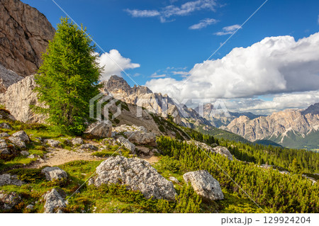 Large Boulders on a Green Mountain Slope Large Boulders on a Green Mountain Slope 129924204