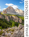 Sunny Rocks and Green Forest 129924205
