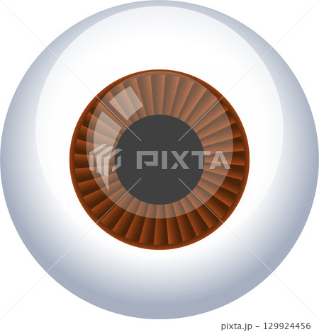 Anatomical eye illustration showcasing a brown iris, a dark pupil, and a white sclera. 129924456