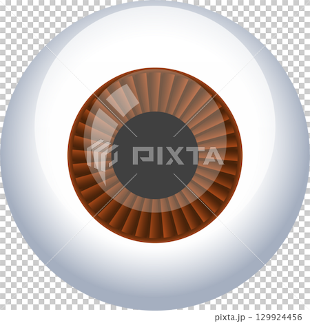 Anatomical eye illustration showcasing a brown iris, a dark pupil, and a white sclera. 129924456