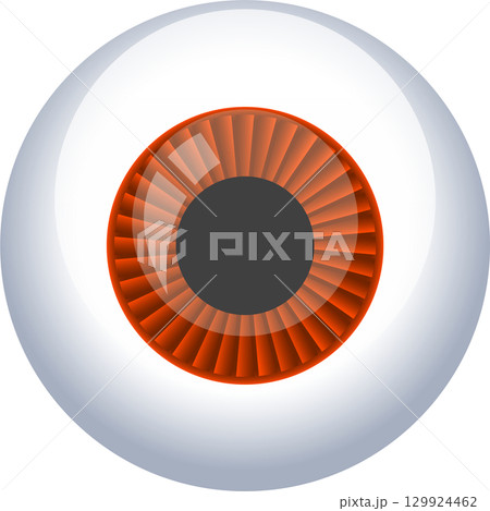 Illustration of a realistic eye with a gray iris and a white cornea with subtle lighting Illustration of a realistic eye with a gray iris and a white cornea with subtle lighting 129924462