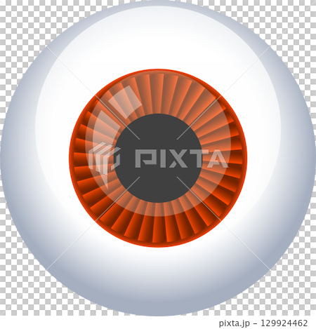 Illustration of a realistic eye with a gray iris and a white cornea with subtle lighting Illustration of a realistic eye with a gray iris and a white cornea with subtle lighting 129924462