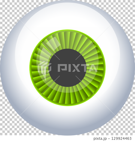 A vibrant green eyeball stares out with a black pupil in a white sclera and turbine iris. 129924463