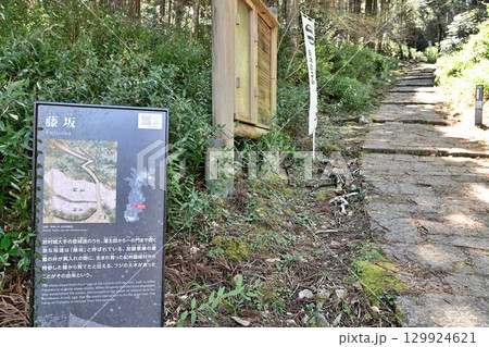 美濃国「岩村城」おんな城主ゆかりの山城 129924621