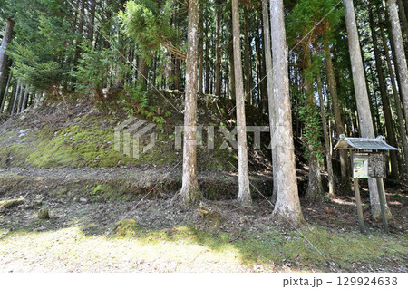 美濃国「岩村城」おんな城主ゆかりの山城 美濃国「岩村城」おんな城主ゆかりの山城 129924638