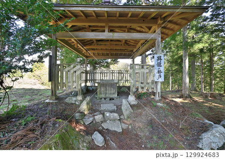 美濃国「岩村城」おんな城主ゆかりの山城 129924683