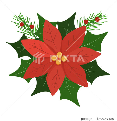 Christmas poinsettia  129925480