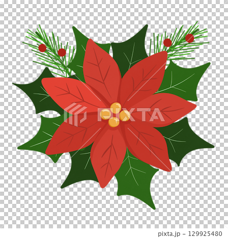 Christmas poinsettia  129925480