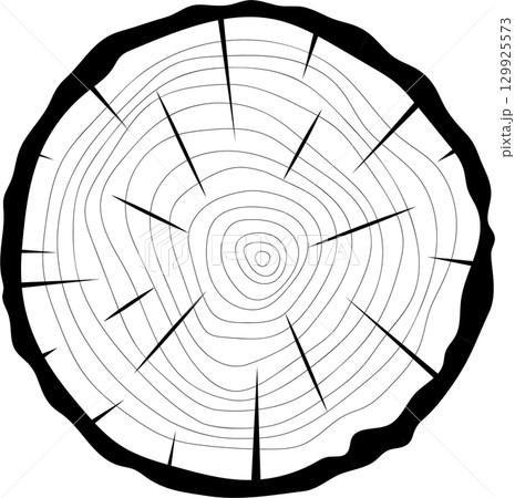 Wood ring illustration showing tree rings and ray structure against a stark black background. 129925573