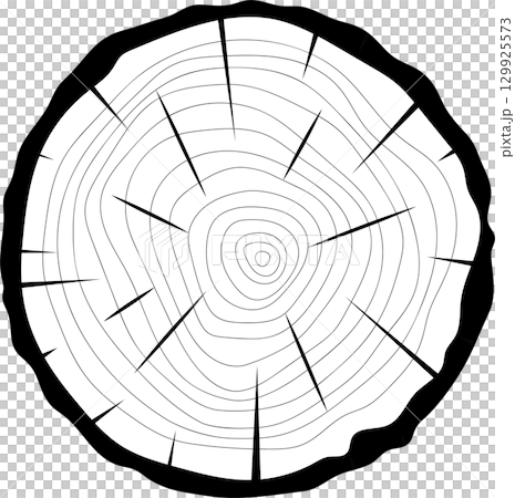 Wood ring illustration showing tree rings and ray structure against a stark black background. 129925573