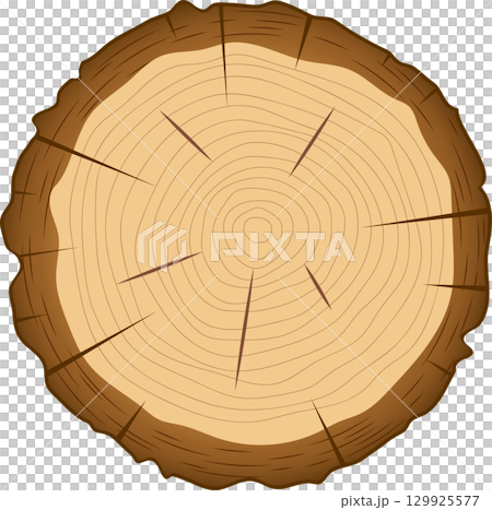 Detailed cross-section of a cut tree trunk shows concentric growth rings and radial wood rays. Detailed cross-section of a cut tree trunk shows concentric growth rings and radial wood rays. 129925577