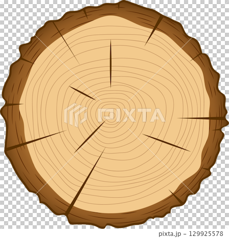 Illustration of a cut tree showing annual rings and star pattern; representing age & growth. Illustration of a cut tree showing annual rings and star pattern; representing age & growth. 129925578