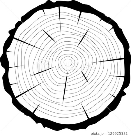 Monochrome graphic of a tree trunk cut in cross section revealing the growth rings and fissures. Monochrome graphic of a tree trunk cut in cross section revealing the growth rings and fissures. 129925581