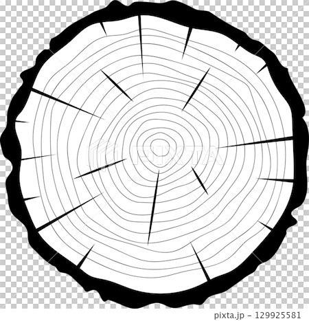 Monochrome graphic of a tree trunk cut in cross section revealing the growth rings and fissures. Monochrome graphic of a tree trunk cut in cross section revealing the growth rings and fissures. 129925581