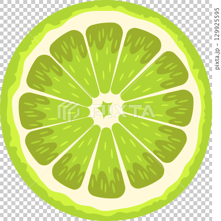 Bright green citrus fruit slice with segmented interior and thick rind, ready to be enjoyed! Bright green citrus fruit slice with segmented interior and thick rind, ready to be enjoyed! 129925595