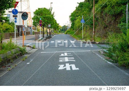 第二京阪高速の側道にある一時停止の道路標示と横断歩道 第二京阪高速の側道にある一時停止の道路標示と横断歩道 129925697