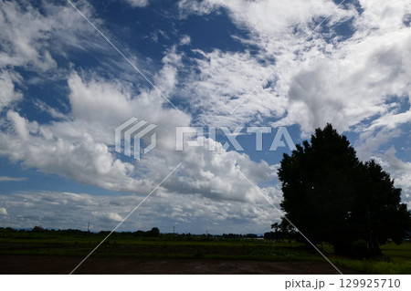 夏の日の小岩井農場の放射状雲の広がり 隙間雲によりできた放射状雲 夏の日の小岩井農場の放射状雲の広がり 隙間雲によりできた放射状雲 129925710