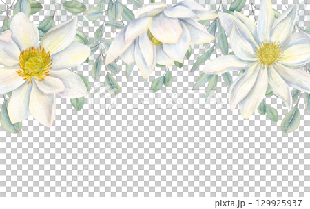 Watercolor white lotus flower heads and eucalyptus leaves horizontal border on isolated background. Floral frame with copy space for text. Valentine day invitations, mother day greeting cards. 129925937