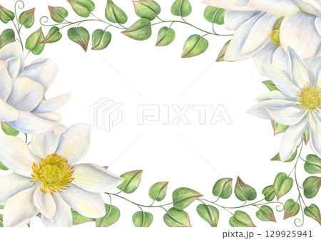 White lotus flowers and green vine leaves watercolor horizontal border on isolated background. Water lily and climbing plant frame with copy space for text. Floral template for birthday greeting card. 129925941