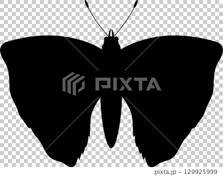 Complete Darkness: The absence of light creates a monochrome field of black in the image. Complete Darkness: The absence of light creates a monochrome field of black in the image. 129925999