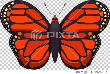Vibrant butterfly displaying beautiful orange and black patterns, showcasing nature's artistry. Vibrant butterfly displaying beautiful orange and black patterns, showcasing nature's artistry. 129926003