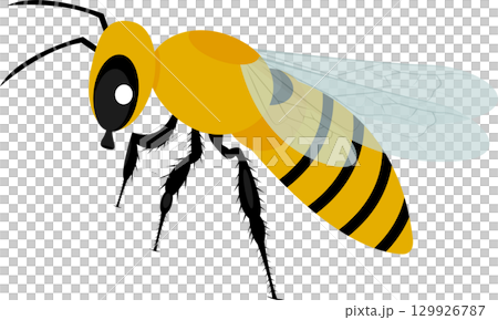 Cartoon bee with yellow and black stripes, transparent wings, and antennae on a black background 129926787