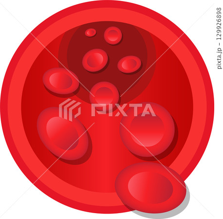 Red blood cells flowing inside a blood vessel, representing circulation and healthy blood flow 129926898