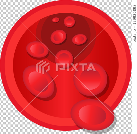 Red blood cells flowing inside a blood vessel, representing circulation and healthy blood flow 129926898