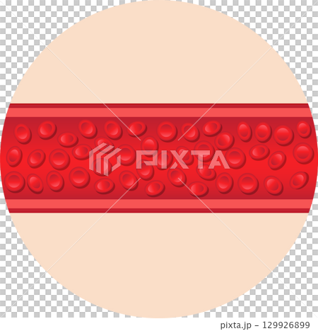 Illustration of blood cells flowing through a blood vessel, vital for oxygen transport. Illustration of blood cells flowing through a blood vessel, vital for oxygen transport. 129926899