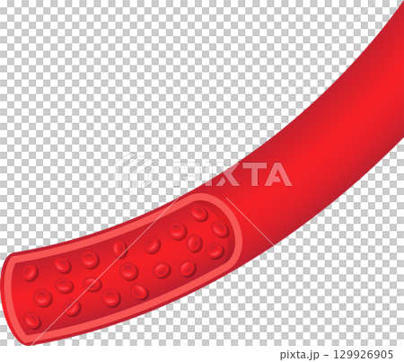 Red blood cells flowing through a vessel, showing a section of a blood vessel structure. Red blood cells flowing through a vessel, showing a section of a blood vessel structure. 129926905