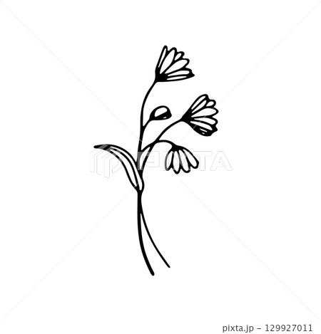 Illustration of delicate flowers showcasing a minimalist design with intricate details and elegant lines 129927011
