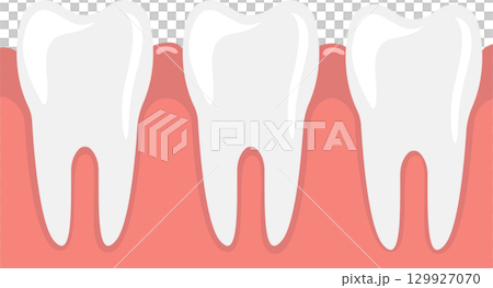 Illustration of three cartoon teeth set in gums. Good dental hygiene is very important, folks! Illustration of three cartoon teeth set in gums. Good dental hygiene is very important, folks! 129927070