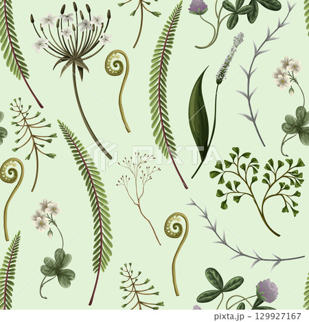 Seamless vector pattern of autumn forest plants, wild berries, clovers, herbs, ferns, and mushrooms Seamless vector pattern of autumn forest plants, wild berries, clovers, herbs, ferns, and mushrooms 129927167